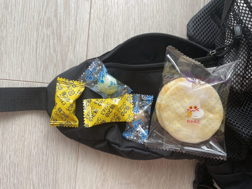 タトラ２５　ヒップベルトポケット